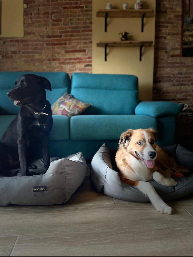 Priorat Aparthotel Falset Exteriör bild